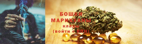 дмт Нягань