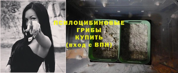 дмт Нягань