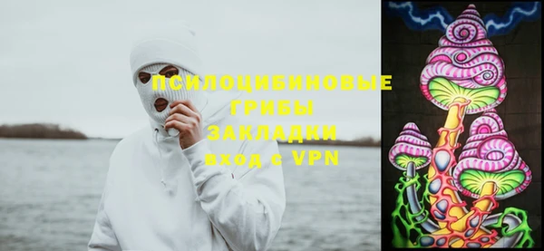 мяу мяу мука Новокубанск