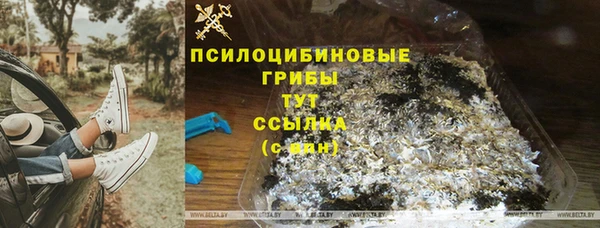 дмт Нягань
